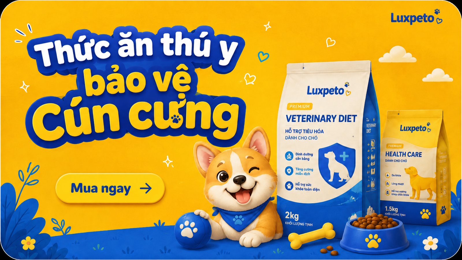 Cách chọn dây dắt và vòng cổ đúng size để chó đi dạo thoải mái hơn